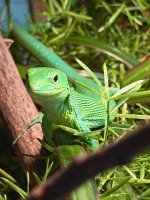 IMG_5403.JPEG