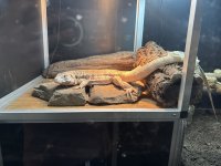 IMG_1314.jpeg