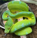 IMG_4018.jpeg