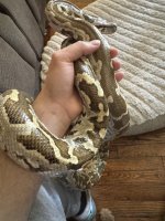 IMG_5401.jpeg