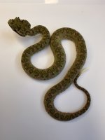 IMG_1612.jpeg
