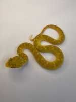 IMG_1609.jpeg