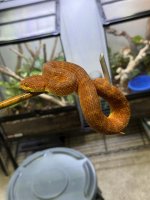 IMG_0889.jpeg