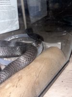 IMG_9534.jpeg