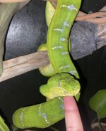 IMG_5630.jpeg