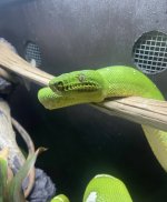 IMG_5628.jpeg