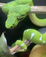 IMG_5625.jpeg