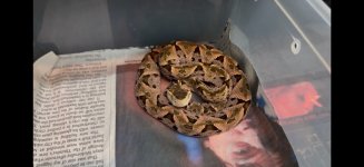 IMG_0189.jpeg