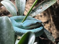 IMG_2308.jpeg