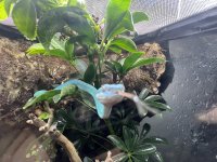 IMG_2188.jpeg