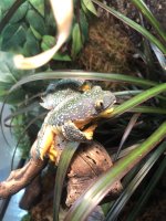 IMG_5058.jpeg