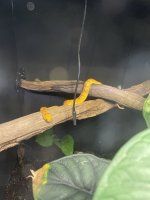 IMG_2770.jpeg