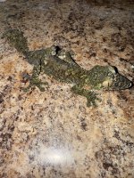 IMG_7802.jpeg