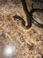 IMG_7711.jpeg