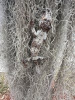 IMG_7874.jpeg