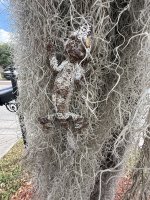 IMG_7873.jpeg