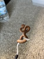 IMG_7816.jpeg