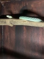 IMG_5723.jpeg