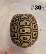 #30.JPG