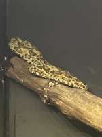 IMG_2825.jpeg