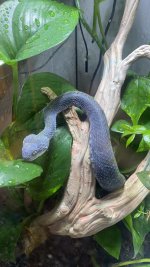 IMG_6281.jpeg