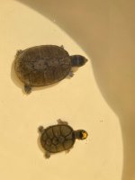 IMG_5998.jpeg