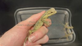 eZy Watermark_13-11-2025_17-49-15-3460.jpg