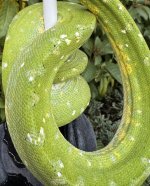 IMG_1736.jpeg