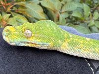 IMG_1731.jpeg