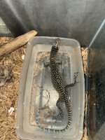 IMG_0583.jpeg