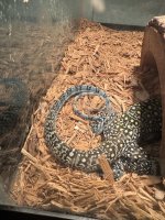 IMG_0361.jpeg