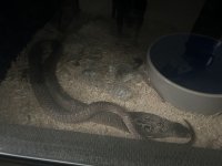 IMG_3844.jpeg