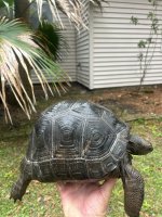 IMG_1865.jpeg