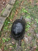 IMG_1867.jpeg