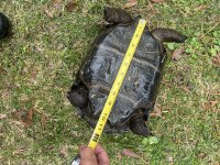 IMG_1866.jpeg