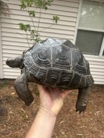 IMG_1871.jpeg