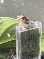 IMG_0780.jpeg