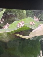 IMG_0781.jpeg