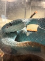 IMG_0611.jpeg
