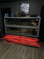 IMG_1693.jpeg