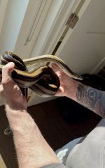 IMG_0509.jpeg