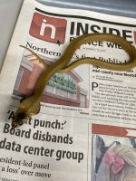 IMG_5570.jpeg