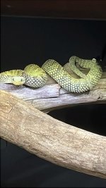 IMG_2857.jpeg