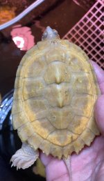 IMG_5748.jpeg