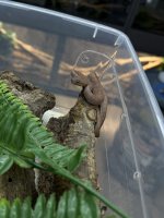 IMG_1789.jpeg