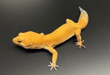 IMG_0899.jpg