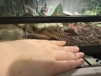 IMG_6562.jpeg