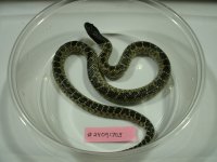 GEDC4311.JPG