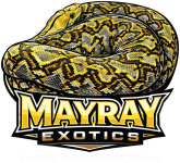 IMG_7727.png