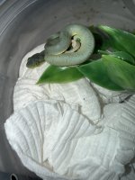 IMG_8116.jpeg